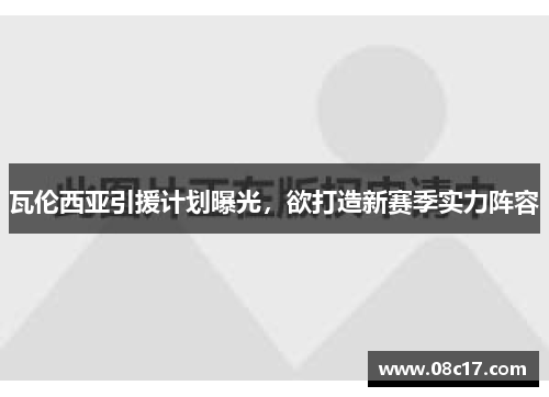 瓦伦西亚引援计划曝光，欲打造新赛季实力阵容